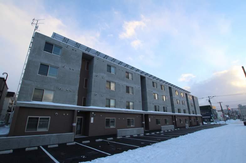 セントポーリアシェリル