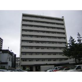 ライオンズマンション平岸第2(1DK/2階)