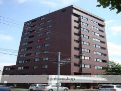 ノースピア南19条(2LDK/11階)