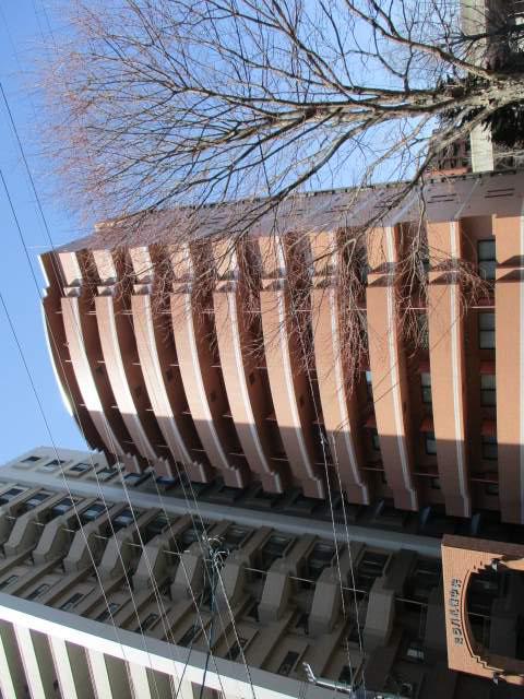 ミラバ札幌中央