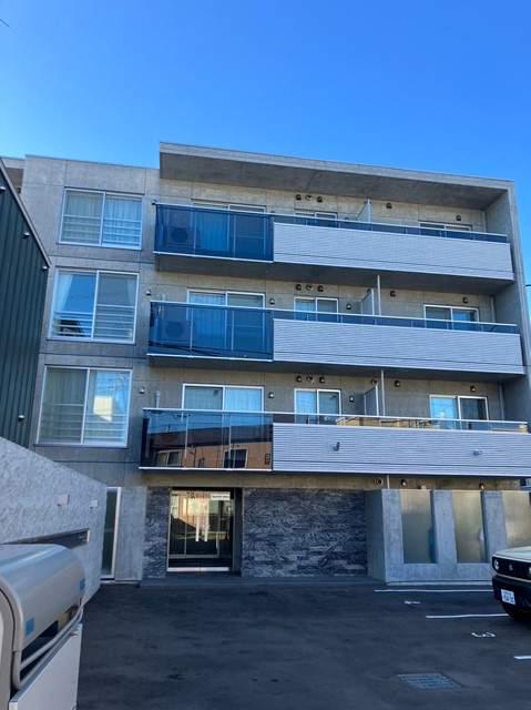 フェーラシュヴァル菊水