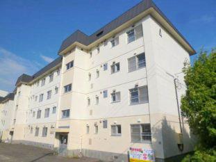 テレパレス本郷IV