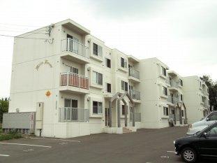 ホワイトハウス