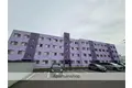 第2ブリリアント若草