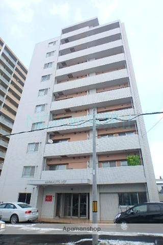 アニマリートN17