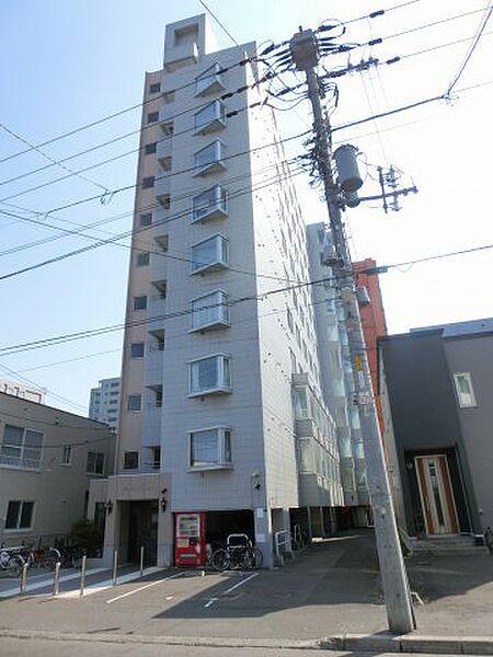 コスモス菊水