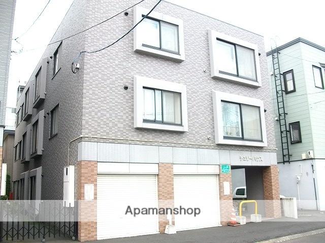 チェリーハウス(1LDK/1階)