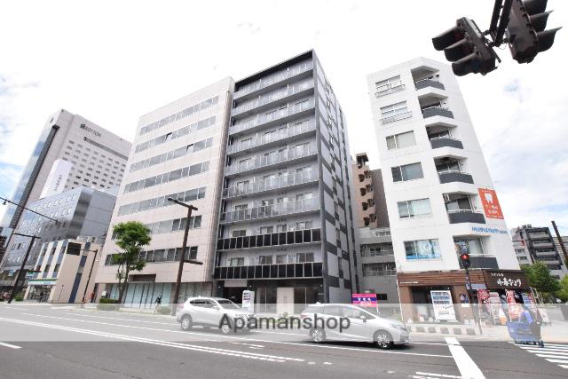 ノースプレミア大通北(1LDK/8階)