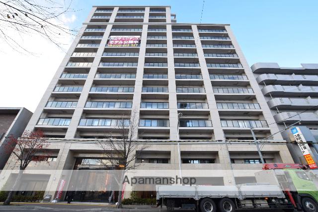 円山ザ・レジデンス