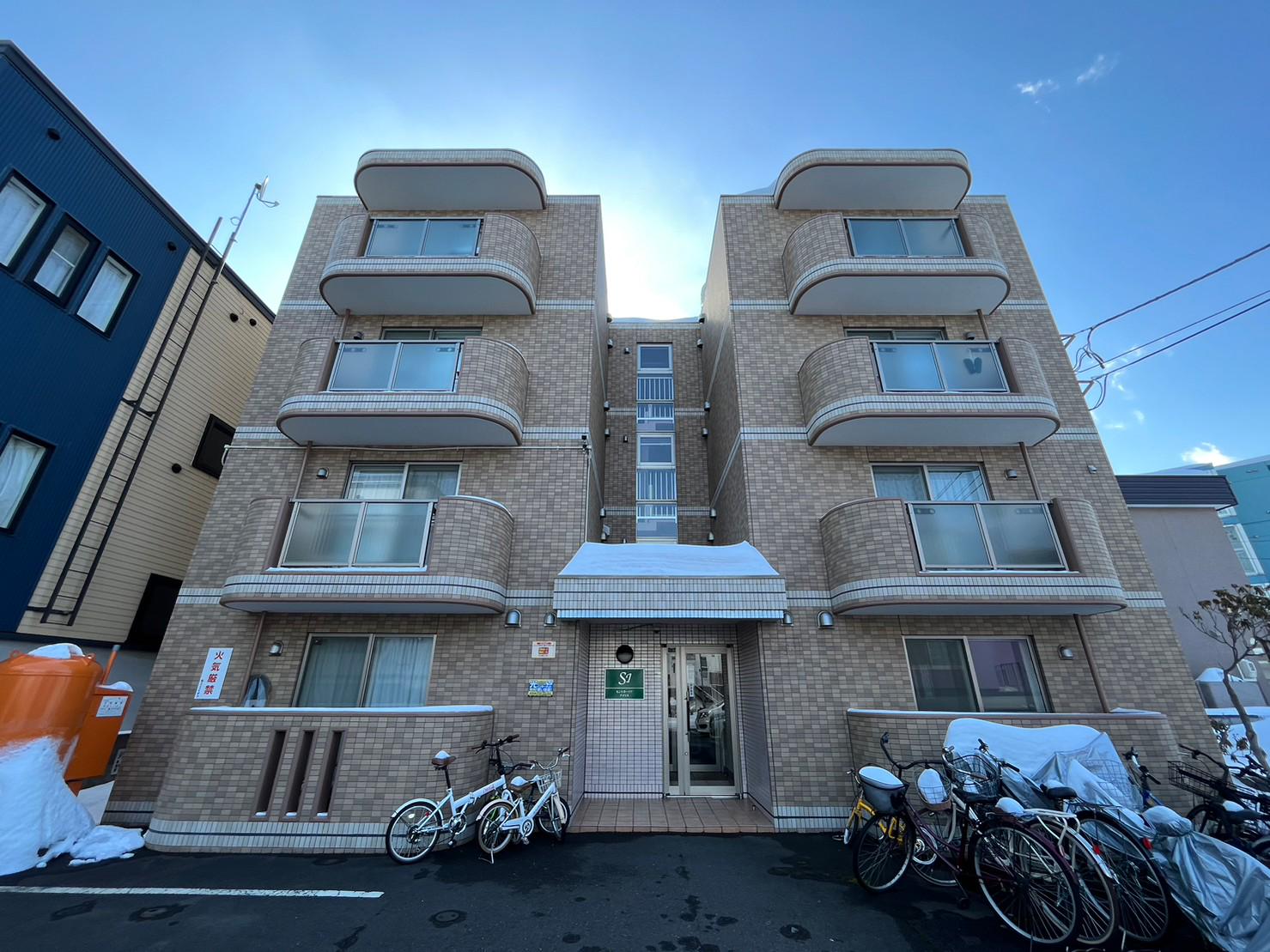 セントポーリアアイリス