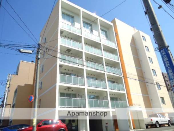 エルピーダ大通