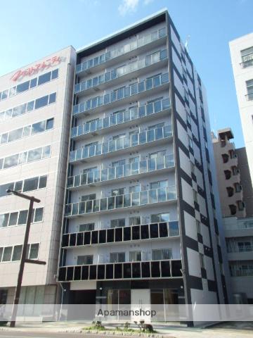 ノースプレミア大通北(1LDK/8階)