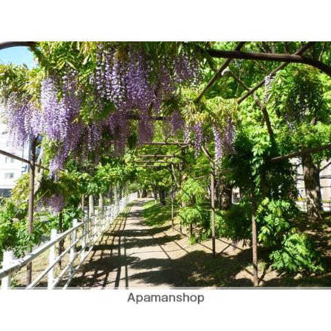 グリーンコート