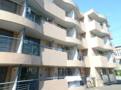 ノースシティー44