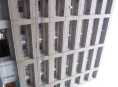 サウスERN CROSS 313