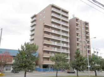 ソレアード環状通