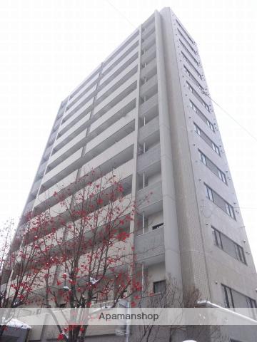 メゾン・ド・北円山(1K/9階)