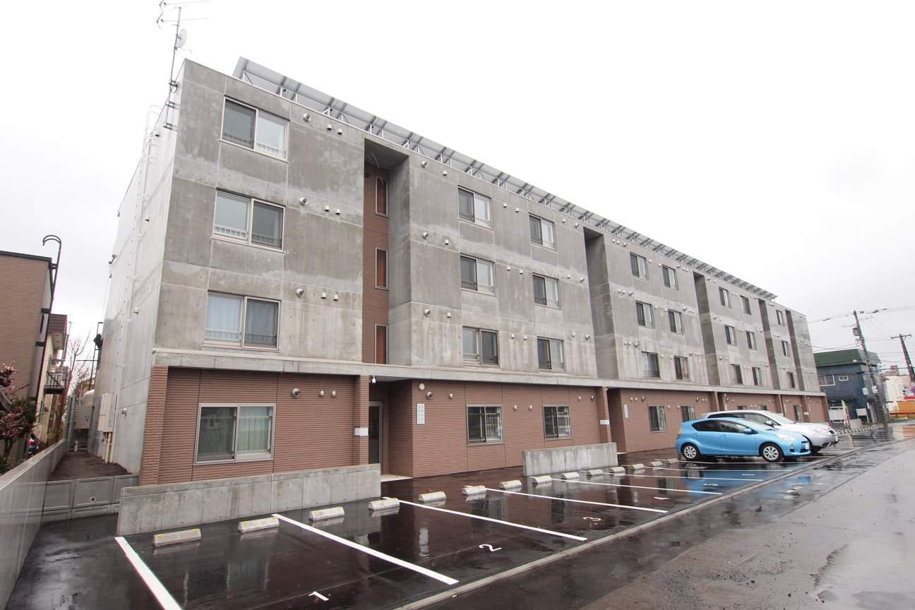 セントポーリアシェリル