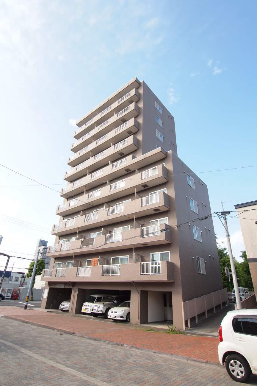 マッシモフェミニール菊水