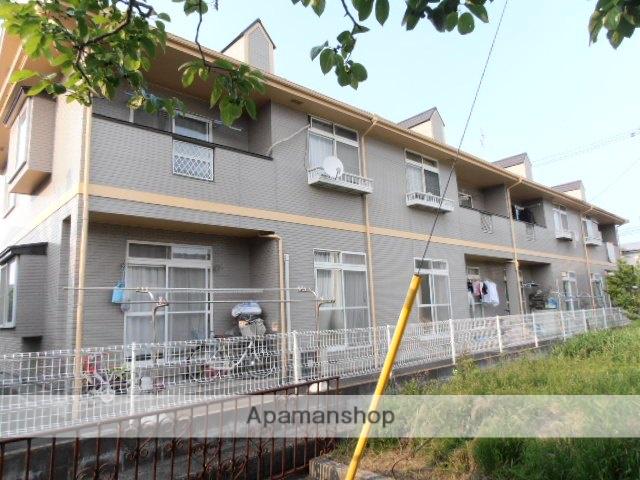 プリムローズ中野栄