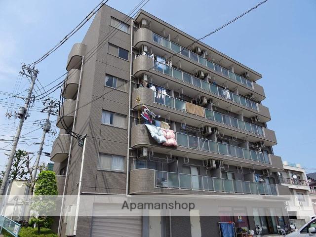 E.シュマン