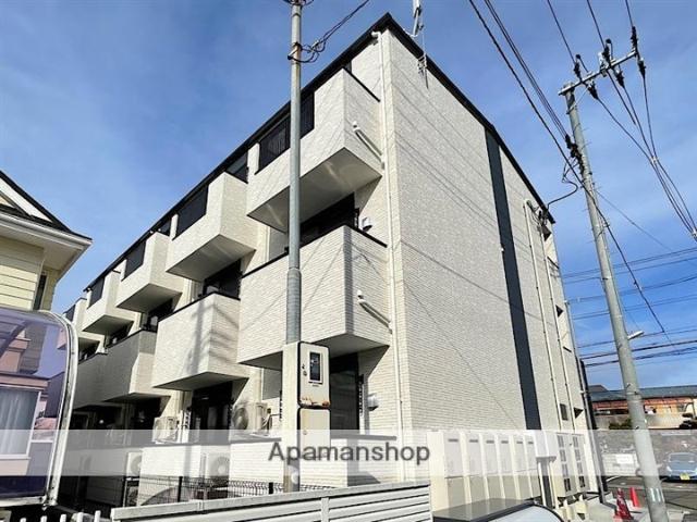 ライラックコート