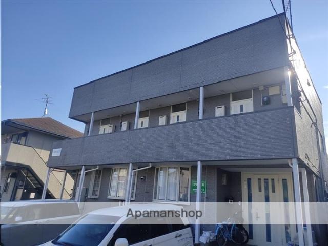 アビエス.ルーキー