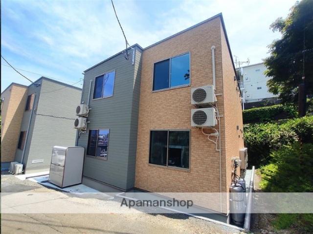 城壁のカメリアⅢ