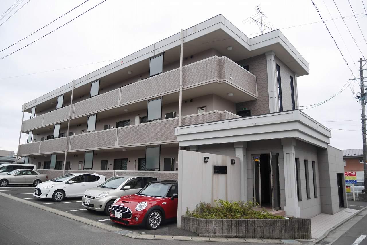 シャトル・ステージ二の森