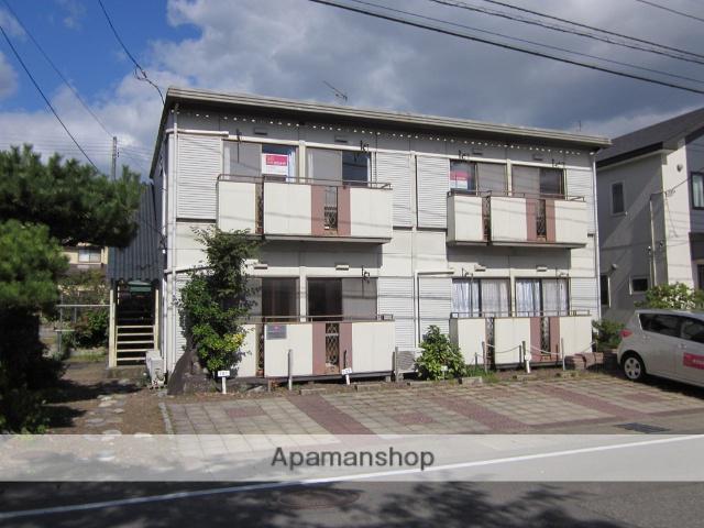 パナハイツサルビア