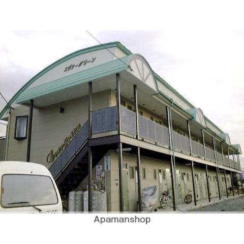 エヴァーグリーン