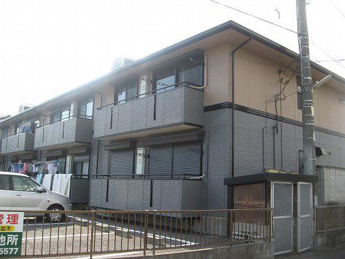 ハイカムール並木