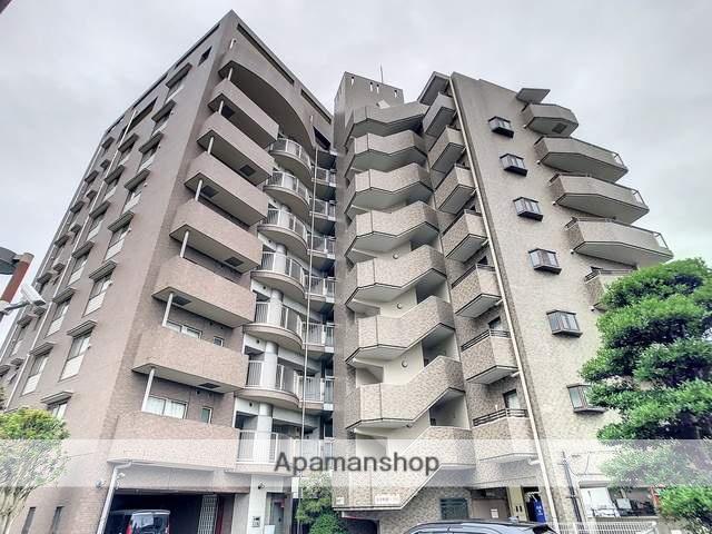 ビュー雷神Ⅱ