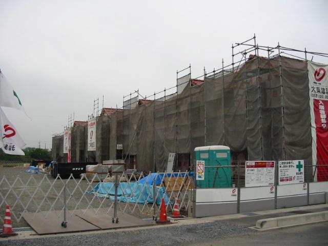 シャルマンフィーレC