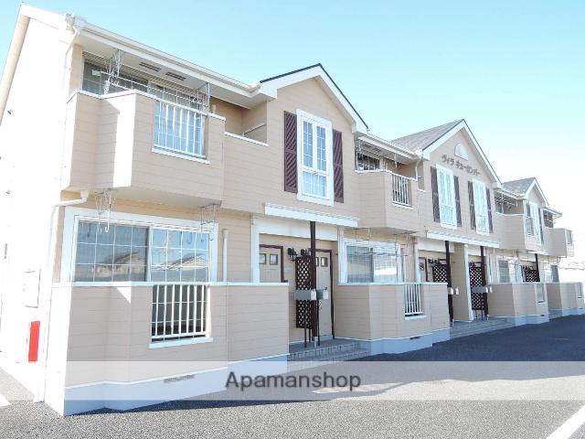 ヴィラキューカンバー