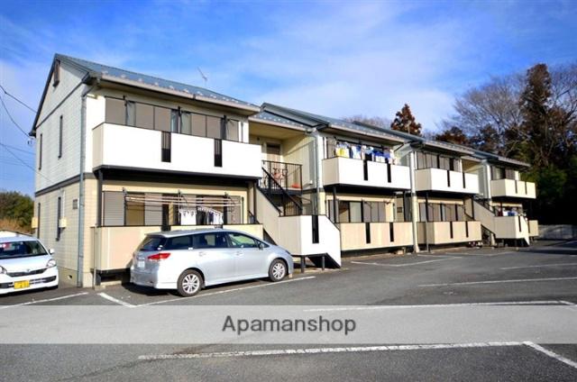 ビバーナムA・B