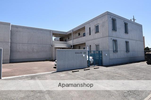 シャロウ・イン