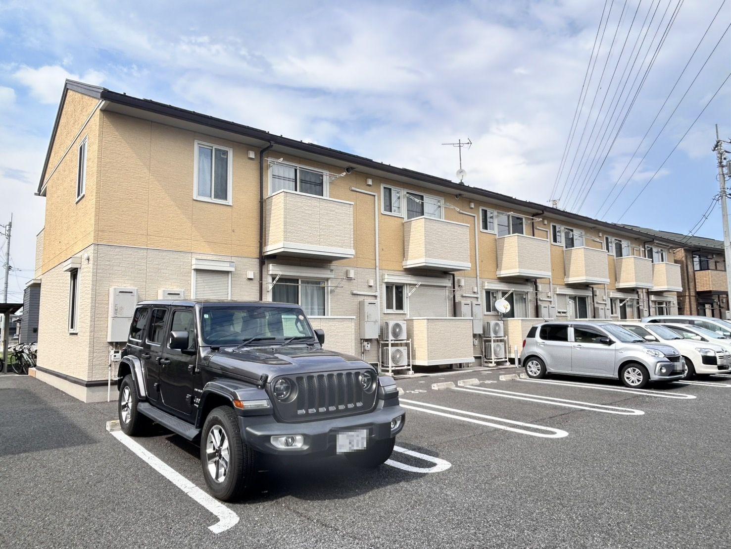 ROSEMARYMARIGOLDFREESIA FREESI