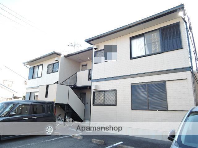 カモミィール今泉