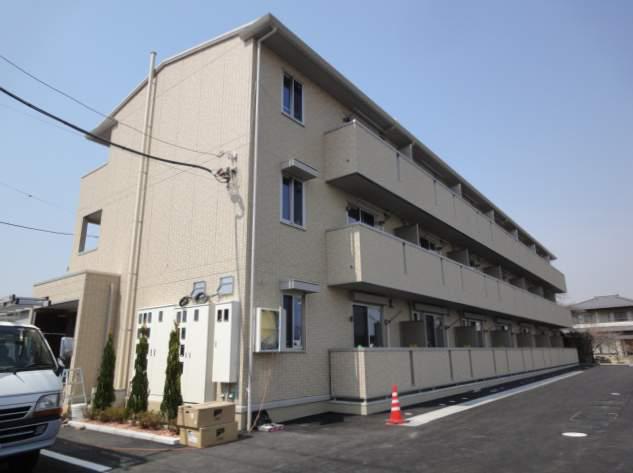 オルタシア カツラ