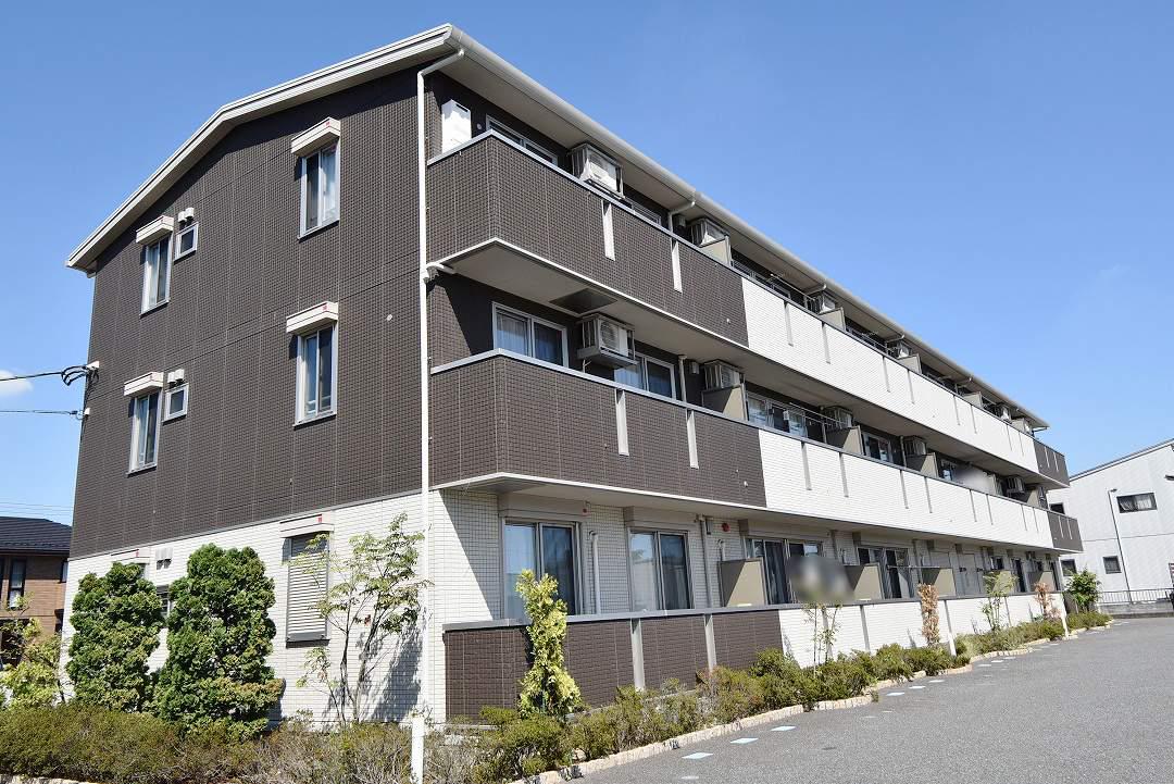 グレイスリーフ