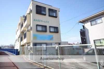 KABEホームズⅡ(1DK/1階)