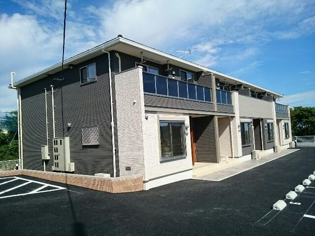 グレイス プラシード B