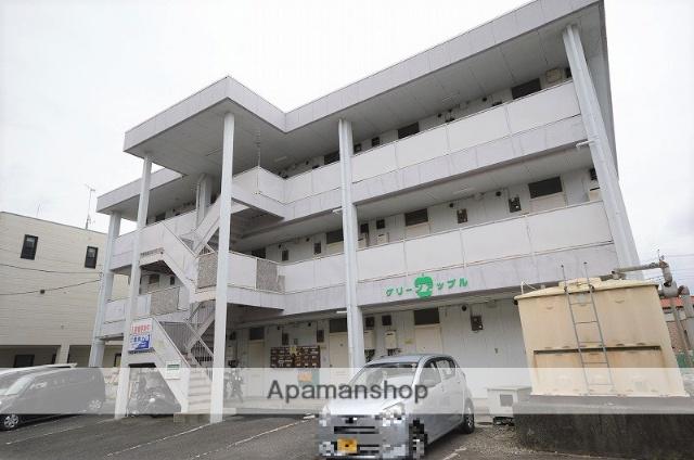 グリーンアップル