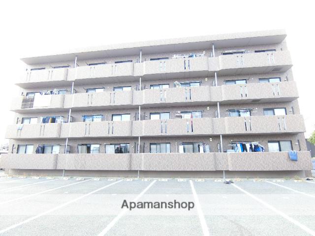 ハニーライズ