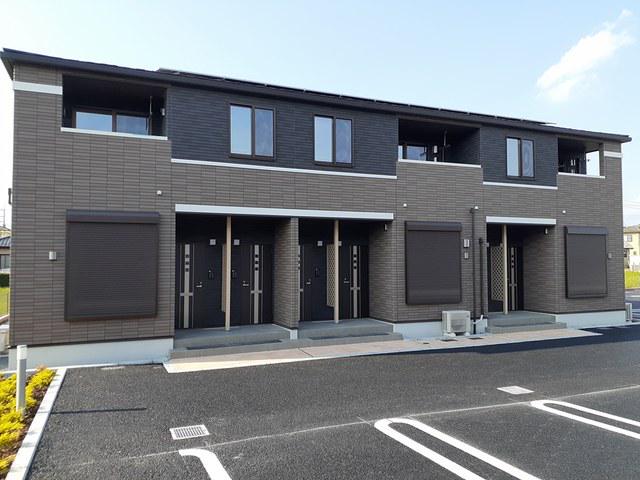 サンフラワー B