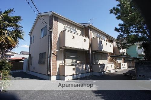 ルピナス