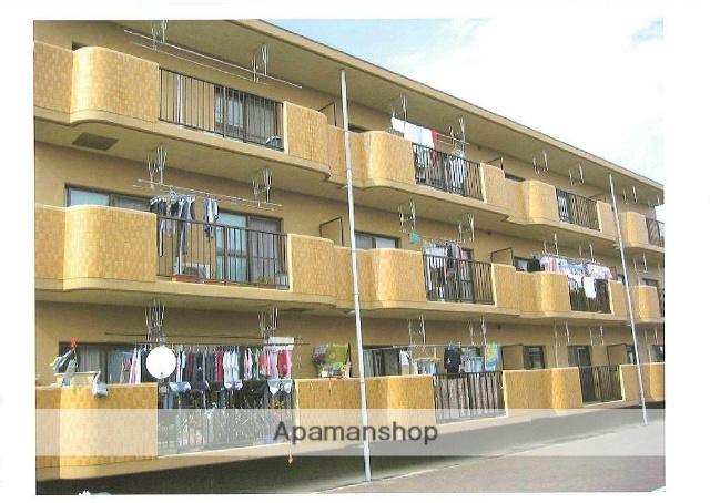 グレイスアーク(3DK/3階)