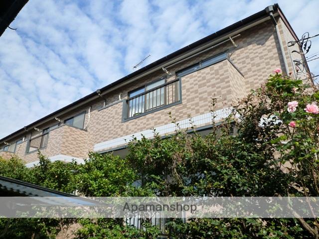 ルーチェミナミ