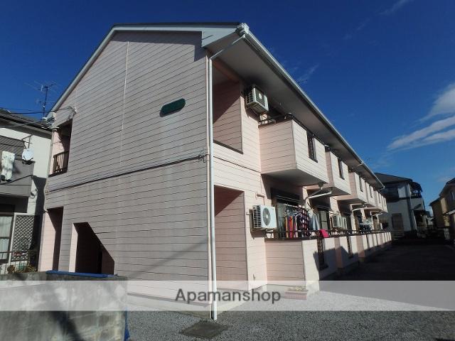 埼大前・小鳩ハイツ 桜草